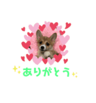 もことクウ2（個別スタンプ：10）