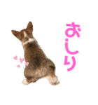 もことクウ2（個別スタンプ：12）