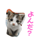 もことクウ2（個別スタンプ：21）