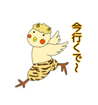まいど！オカメです。（個別スタンプ：16）