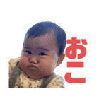らん♪（個別スタンプ：6）