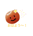ゆるかわ♡使いやすいスタンプ（みかん）（個別スタンプ：1）