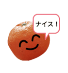 ゆるかわ♡使いやすいスタンプ（みかん）（個別スタンプ：21）