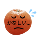 ゆるかわ♡使いやすいスタンプ（みかん）（個別スタンプ：24）