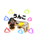 うちのぺけちゃんU´•ﻌ•`U（個別スタンプ：5）