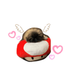 うちのぺけちゃんU´•ﻌ•`U（個別スタンプ：6）