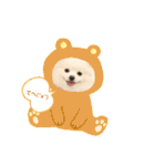 ポメラニアン ひめちゃん（個別スタンプ：22）