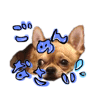 joooooooo（個別スタンプ：11）