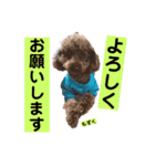 ひじきさんとゆかいな家族 vol.4（個別スタンプ：1）