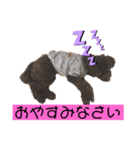 ひじきさんとゆかいな家族 vol.4（個別スタンプ：3）