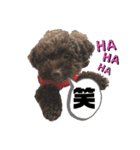ひじきさんとゆかいな家族 vol.4（個別スタンプ：6）