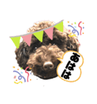 ひじきさんとゆかいな家族 vol.4（個別スタンプ：7）