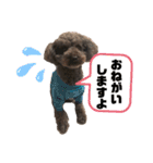 ひじきさんとゆかいな家族 vol.4（個別スタンプ：10）