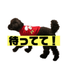 ひじきさんとゆかいな家族 vol.4（個別スタンプ：11）