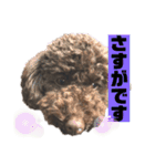 ひじきさんとゆかいな家族 vol.4（個別スタンプ：12）