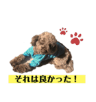 ひじきさんとゆかいな家族 vol.4（個別スタンプ：16）