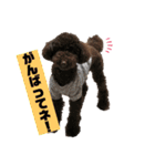 ひじきさんとゆかいな家族 vol.4（個別スタンプ：17）