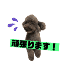 ひじきさんとゆかいな家族 vol.4（個別スタンプ：18）