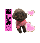 ひじきさんとゆかいな家族 vol.4（個別スタンプ：20）