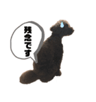 ひじきさんとゆかいな家族 vol.4（個別スタンプ：23）