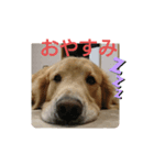 ももおスタンプ（個別スタンプ：2）