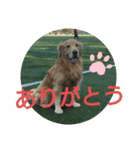 ももおスタンプ（個別スタンプ：3）