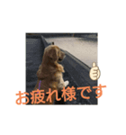 ももおスタンプ（個別スタンプ：5）