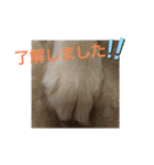 ももおスタンプ（個別スタンプ：6）