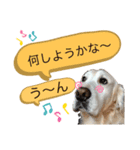 りっきーちゃんのきもち（個別スタンプ：4）