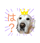 りっきーちゃんのきもち（個別スタンプ：8）