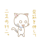 しろこねこスタンプ（個別スタンプ：25）