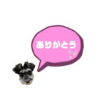 ★ミニシュナのメイ★スタンプ4シンプル編（個別スタンプ：5）