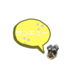 ★ミニシュナのメイ★スタンプ4シンプル編（個別スタンプ：7）