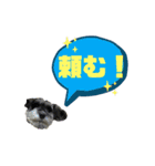 ★ミニシュナのメイ★スタンプ4シンプル編（個別スタンプ：10）