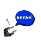 ★ミニシュナのメイ★スタンプ4シンプル編（個別スタンプ：12）