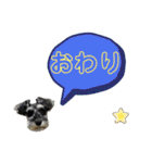 ★ミニシュナのメイ★スタンプ4シンプル編（個別スタンプ：17）