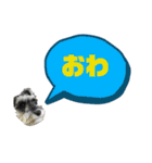 ★ミニシュナのメイ★スタンプ4シンプル編（個別スタンプ：18）