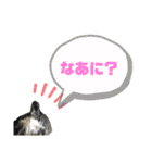 ★ミニシュナのメイ★スタンプ4シンプル編（個別スタンプ：26）