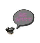 ★ミニシュナのメイ★スタンプ4シンプル編（個別スタンプ：36）