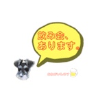 ★ミニシュナのメイ★スタンプ4シンプル編（個別スタンプ：37）