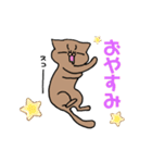 ＃1 猫のジル【スコティッシュおうるど】（個別スタンプ：2）