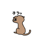 ＃1 猫のジル【スコティッシュおうるど】（個別スタンプ：23）