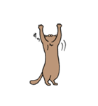 ＃1 猫のジル【スコティッシュおうるど】（個別スタンプ：24）