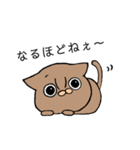 ＃1 猫のジル【スコティッシュおうるど】（個別スタンプ：26）