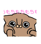 ＃1 猫のジル【スコティッシュおうるど】（個別スタンプ：31）