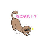 ＃1 猫のジル【スコティッシュおうるど】（個別スタンプ：37）