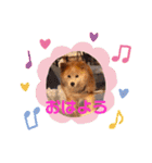 はぴちゃんスタンプ（個別スタンプ：9）