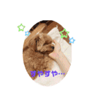 はぴちゃんスタンプ（個別スタンプ：12）