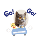 はぴちゃんスタンプ（個別スタンプ：17）