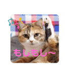 はぴちゃんスタンプ（個別スタンプ：18）